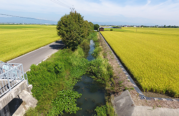 平成29年度　筑後川下流右岸農地防災事業　城西９号線（飯盛工区）他工事