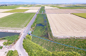 筑後川下流右岸農地防災事業　川副３号線（小々森工区）工事 工事前